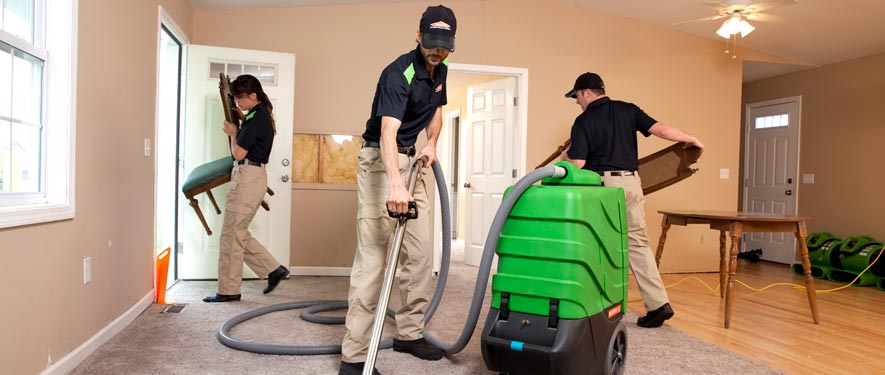Woodland Hills, CA cleaning services